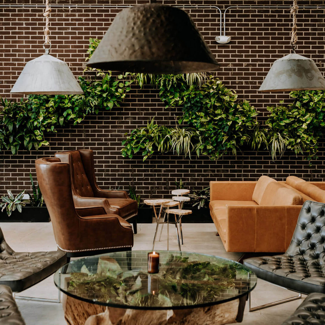 Living Wall in Commons Area Living Wall in Commons Area