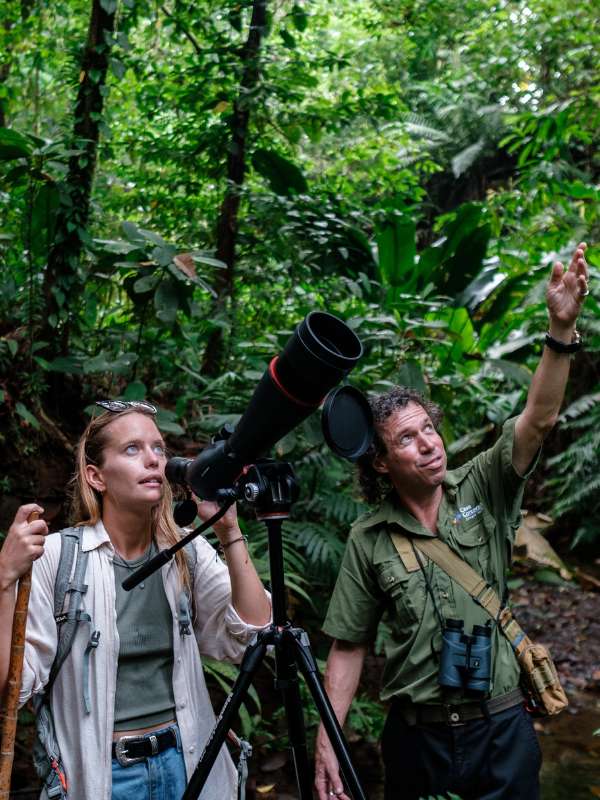 Bird-watching tour in the jungle at SCP Corcovado Wilderness Lodge