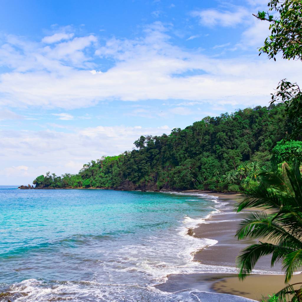 Coastline at SCP Corcovado Wilderness Lodge