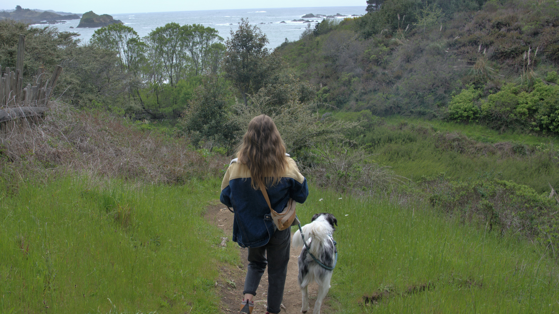 Learn more about our pet policy at Mendocino Coast Lodge.