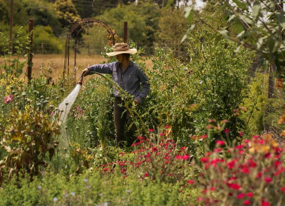 SCP Mendocino Hotel Gardens