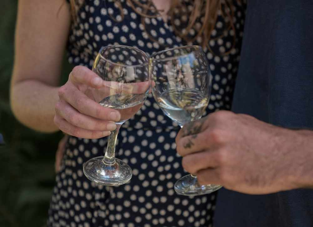 Wine-Tasting-Mendocino Wine Glasses