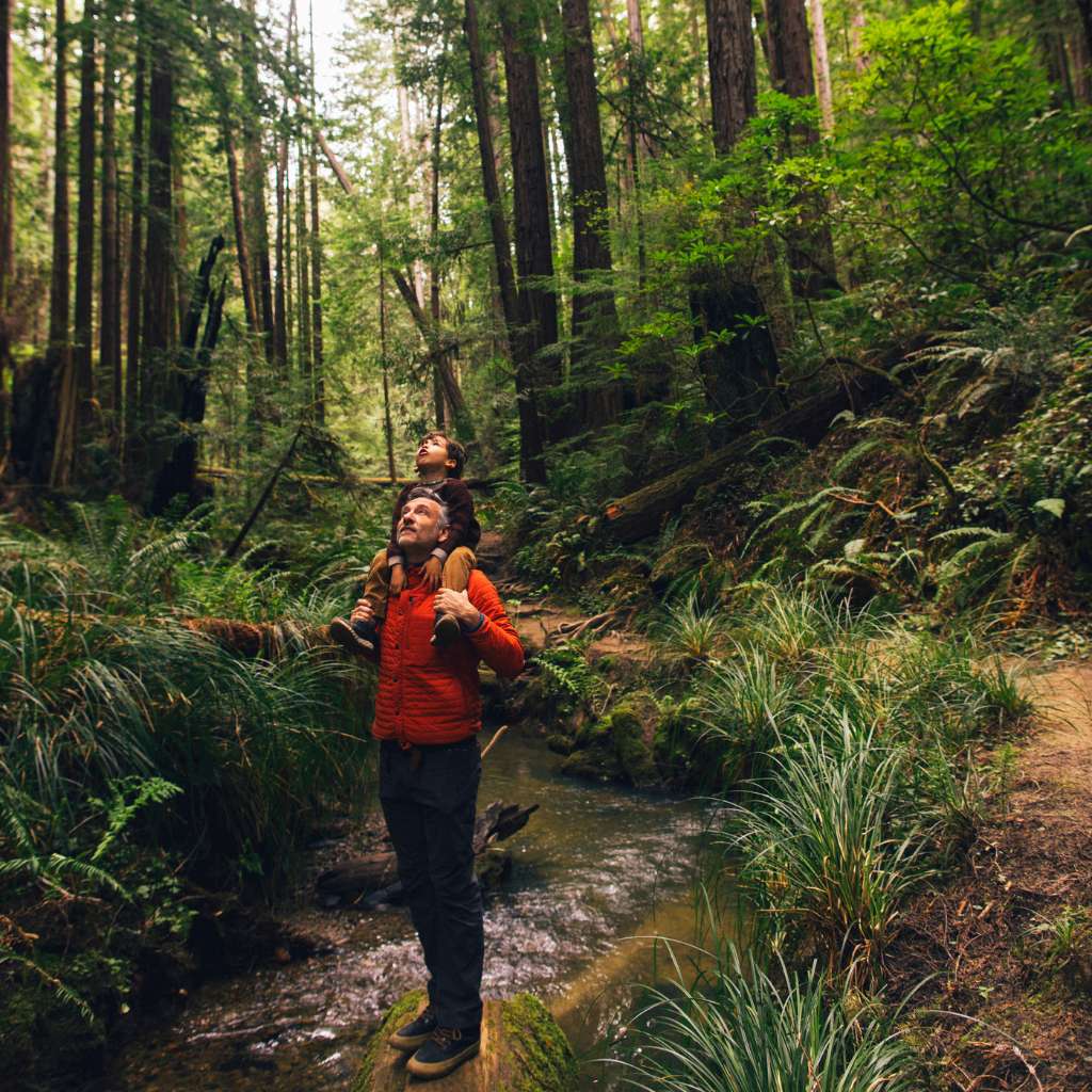 Father and son hiking in Mendocino