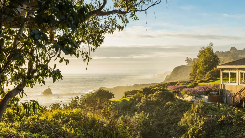 Exterior View of the Pacific Ocean from SCP Mendocino Coast Lodge