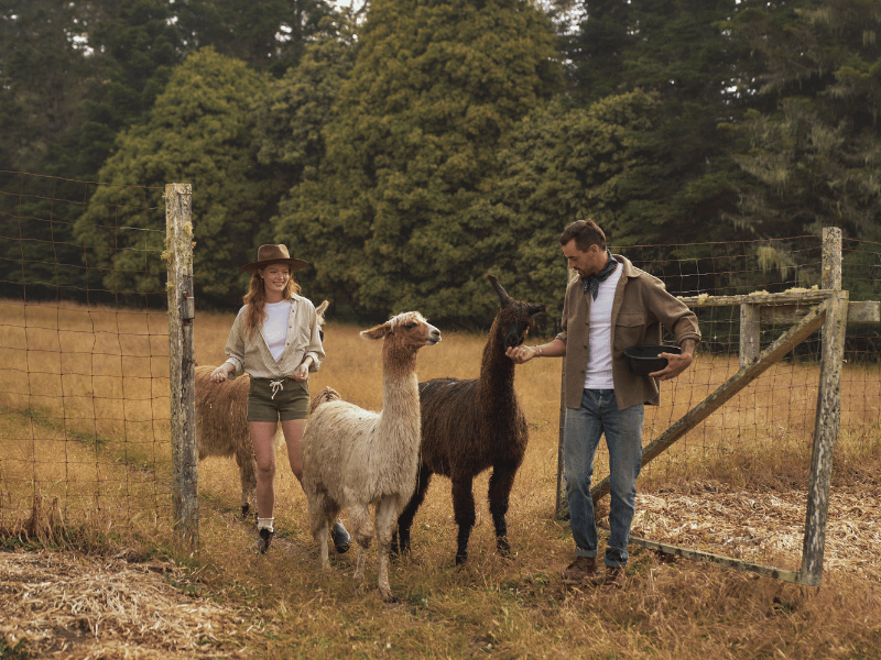 Enjoy Epic Experiences at SCP Mendocino Inn and Farm.